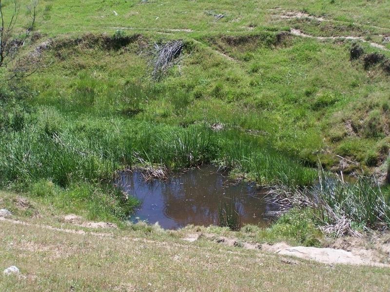 Lot 2 Lost River Road, Wheeo NSW 2583