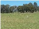 Lot 2 Lost River Road, Wheeo NSW 2583