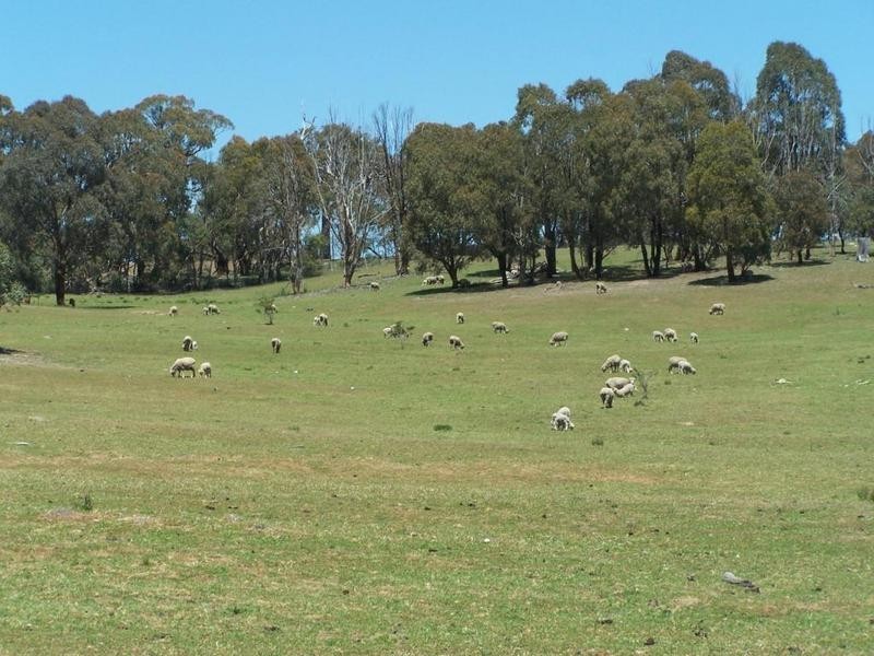 Lot 2 Lost River Road, Wheeo NSW 2583