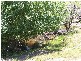Lot 2 Lost River Road, Wheeo NSW 2583