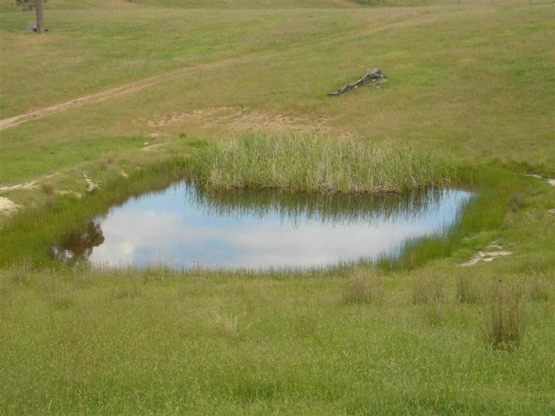 Lot 3 Kangaloolah Road, Binda NSW 2583