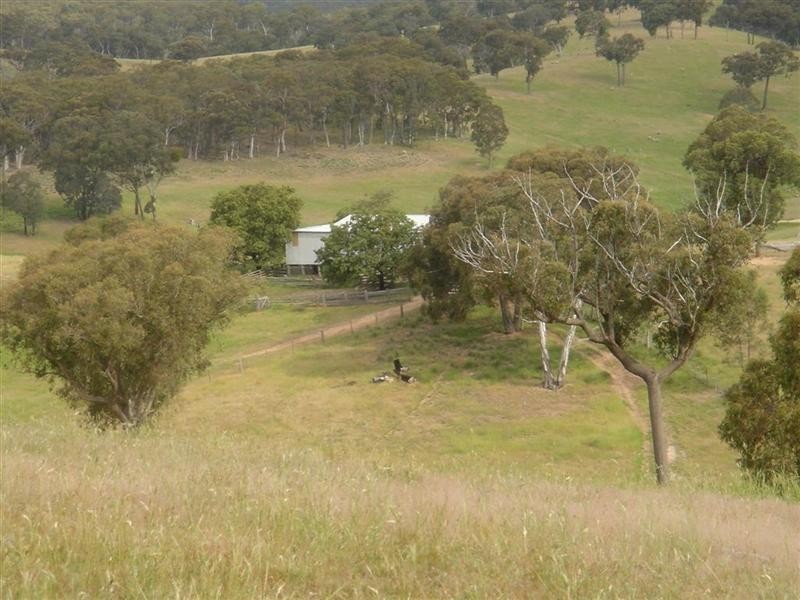 Lot 3 Kangaloolah Road, Binda NSW 2583