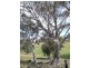 Lot 3 Kangaloolah Road, Binda NSW 2583