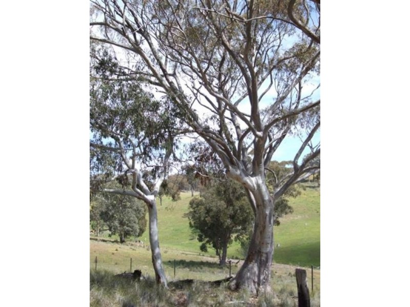 Lot 3 Kangaloolah Road, Binda NSW 2583