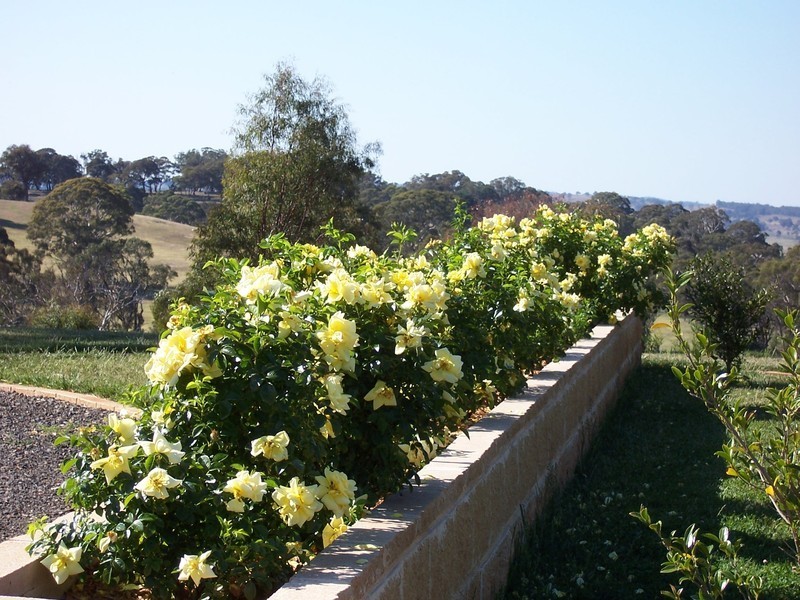 “Tara” Lot 1 Kangaloolah Road, Binda NSW 2583