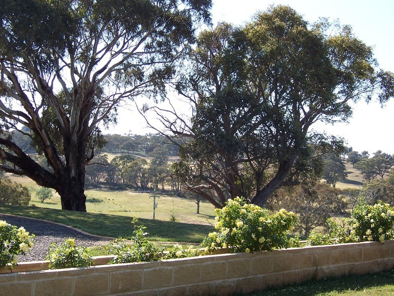 “Tara” Lot 1 Kangaloolah Road, Binda NSW 2583
