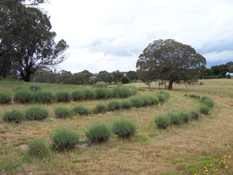 “Tara” Lot 1 Kangaloolah Road, Binda NSW 2583
