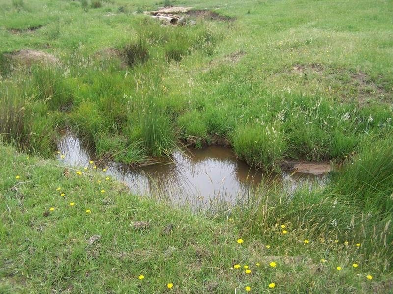 3646 Range Road, Grabben Gullen NSW 2583