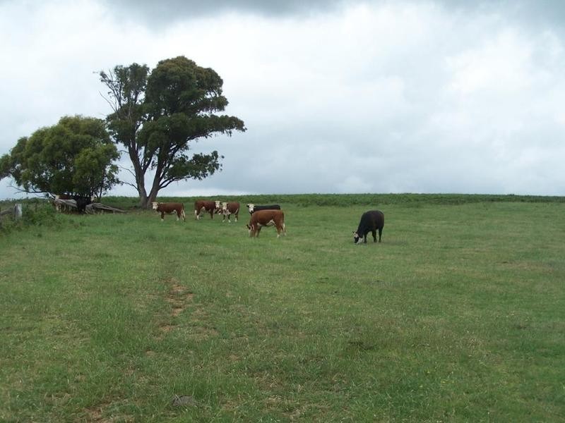 3646 Range Road, Grabben Gullen NSW 2583