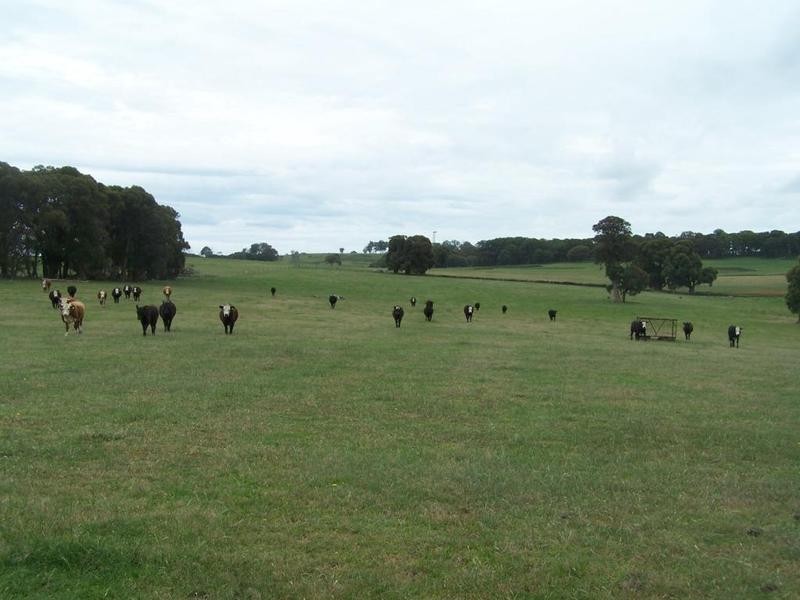 3646 Range Road, Grabben Gullen NSW 2583