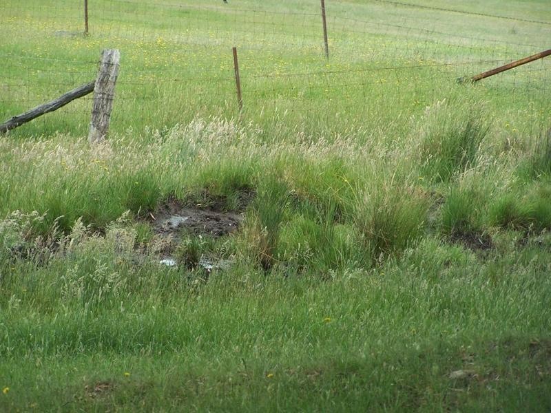 3646 Range Road, Grabben Gullen NSW 2583