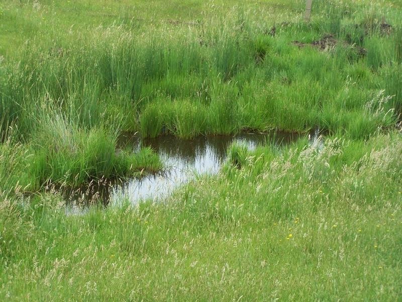 3646 Range Road, Grabben Gullen NSW 2583