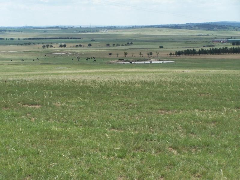 Lot 7 Windellama Road, Goulburn NSW 2580