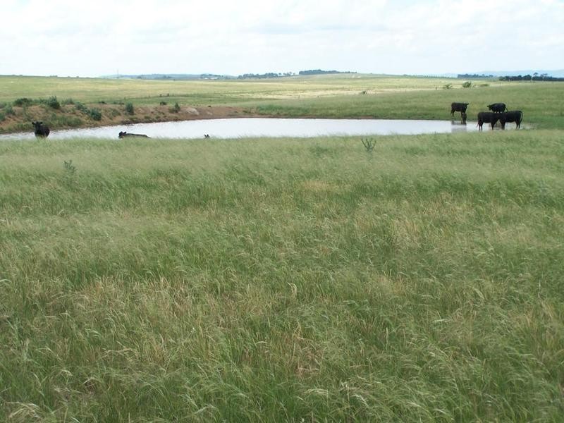 Lot 7 Windellama Road, Goulburn NSW 2580