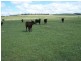 Lot 7 Windellama Road, Goulburn NSW 2580
