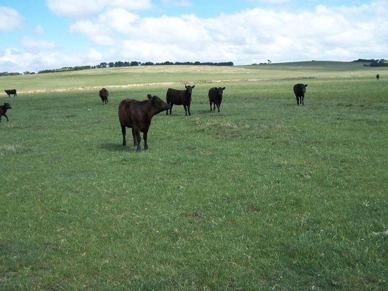 Lot 7 Windellama Road, Goulburn NSW 2580