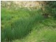 Lot 2 Pejar Road, Crookwell NSW 2583