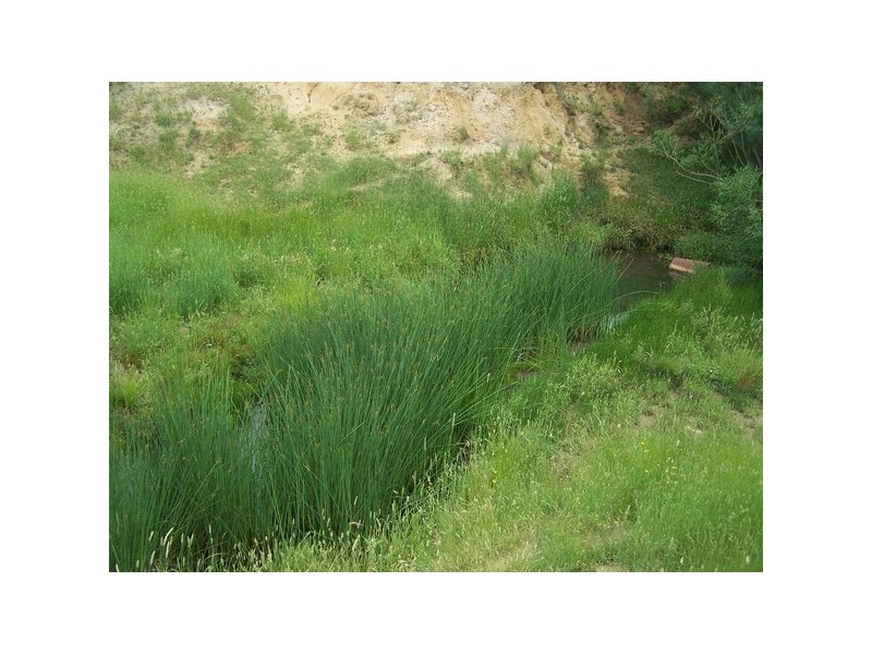 Lot 2 Pejar Road, Crookwell NSW 2583
