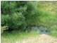 Lot 2 Pejar Road, Crookwell NSW 2583