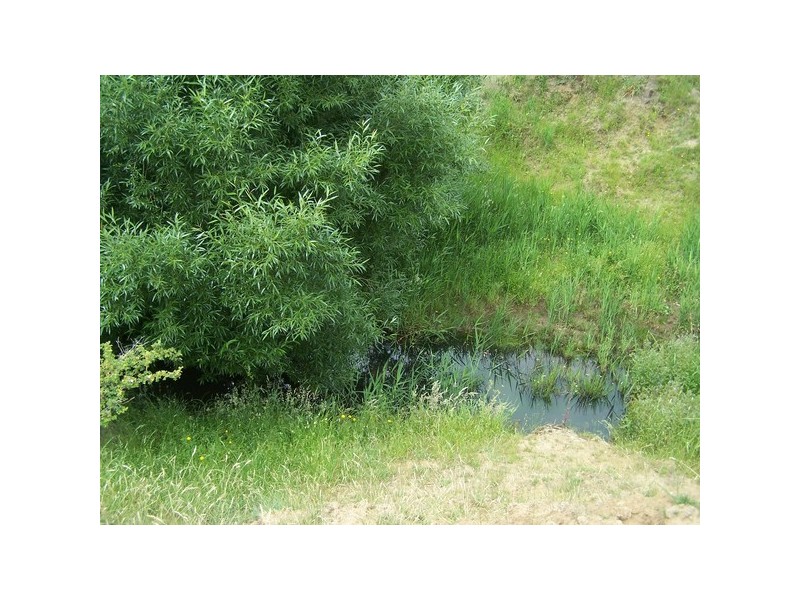 Lot 2 Pejar Road, Crookwell NSW 2583