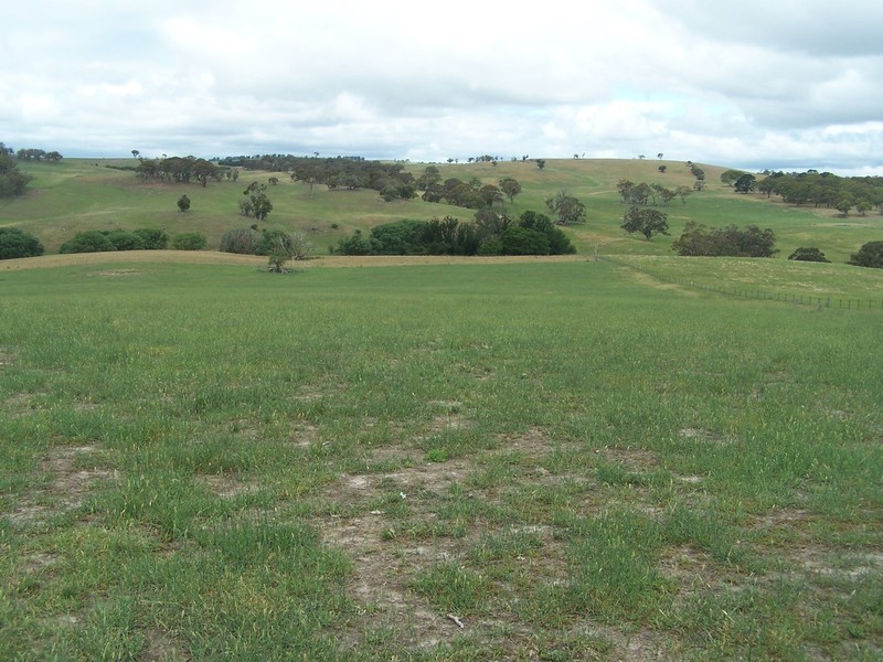 Lot 1 Pejar Road, Crookwell NSW 2583