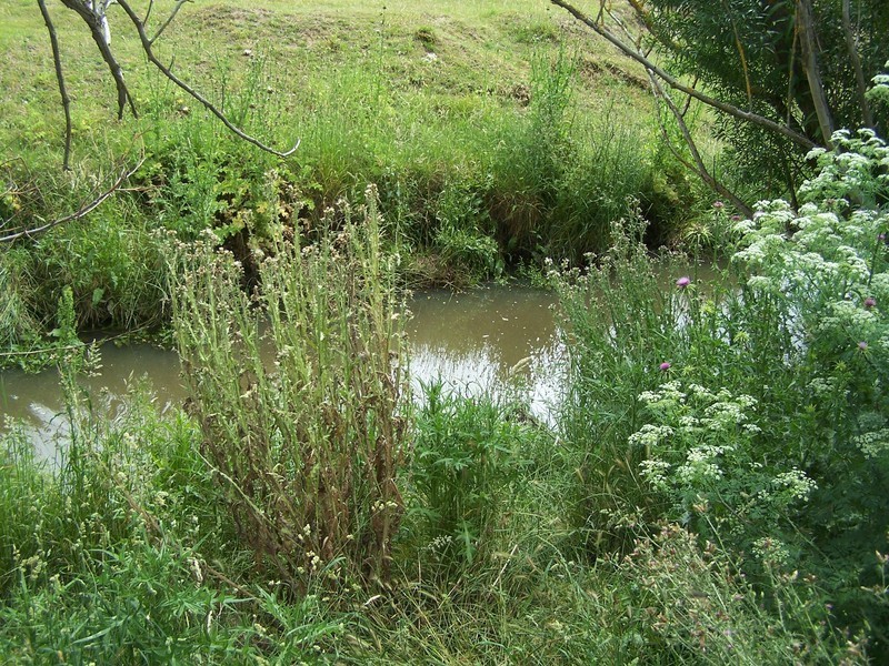 Lot 1 Pejar Road, Crookwell NSW 2583