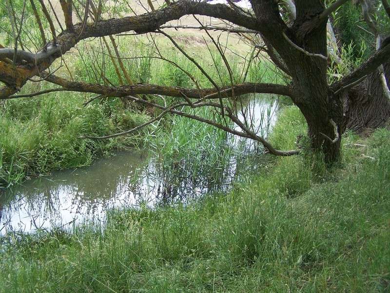 Lot 1 Pejar Road, Crookwell NSW 2583