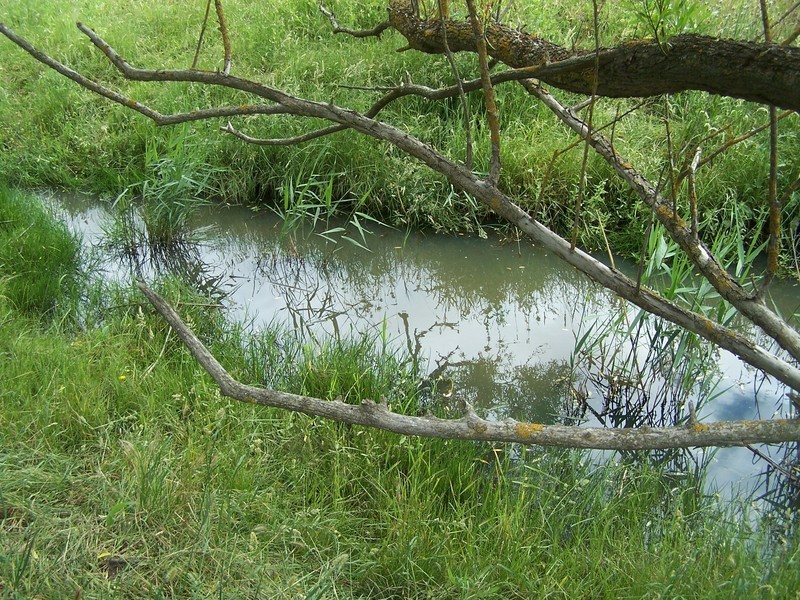 Lot 1 Pejar Road, Crookwell NSW 2583