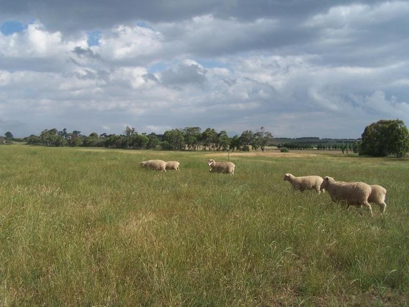 Lot 1 Woodhouselee Road, Laggan NSW 2583