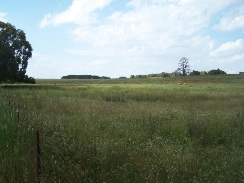 Lot 1 Woodhouselee Road, Laggan NSW 2583