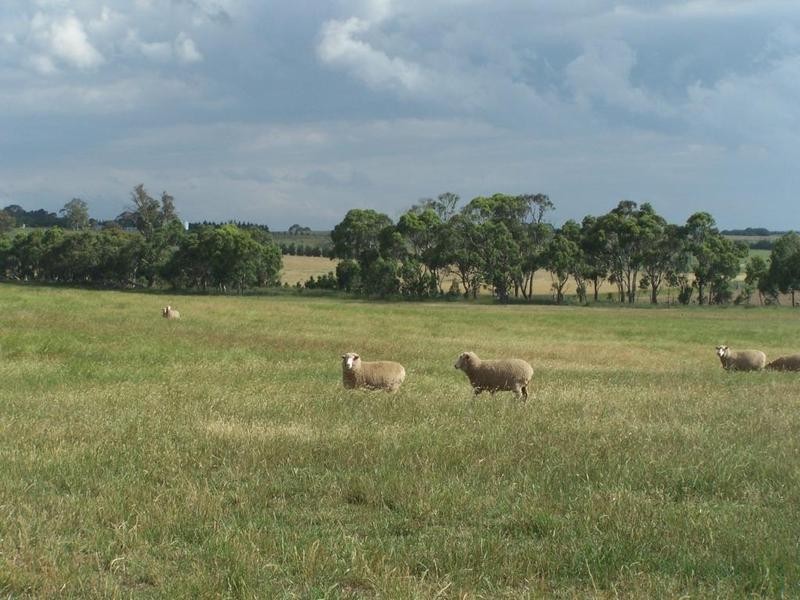Lot 1 Woodhouselee Road, Laggan NSW 2583