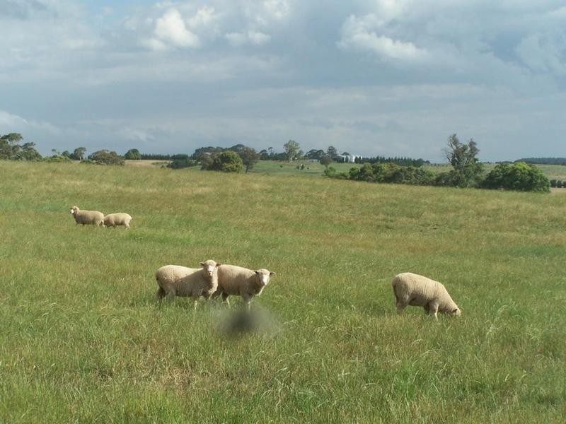 Lot 1 Woodhouselee Road, Laggan NSW 2583