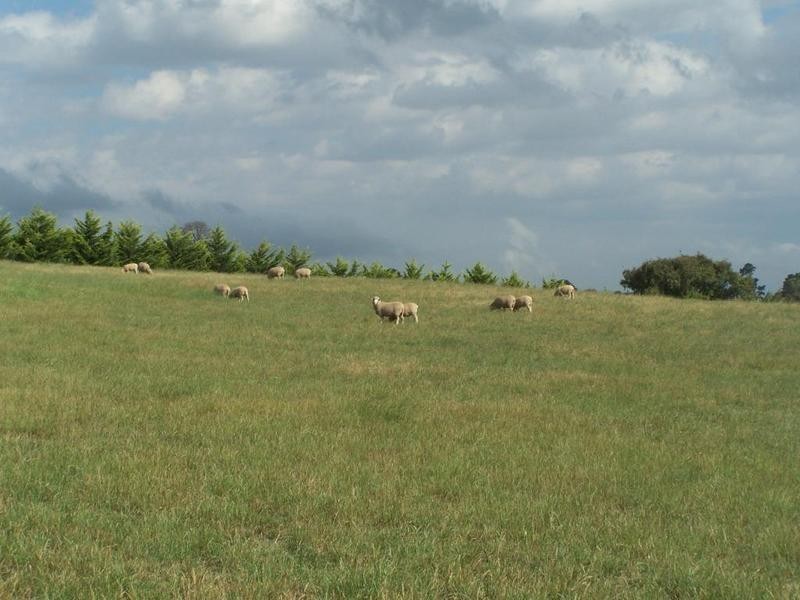 Lot 1 Woodhouselee Road, Laggan NSW 2583