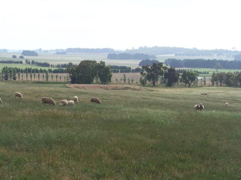 Lot 1 Woodhouselee Road, Laggan NSW 2583