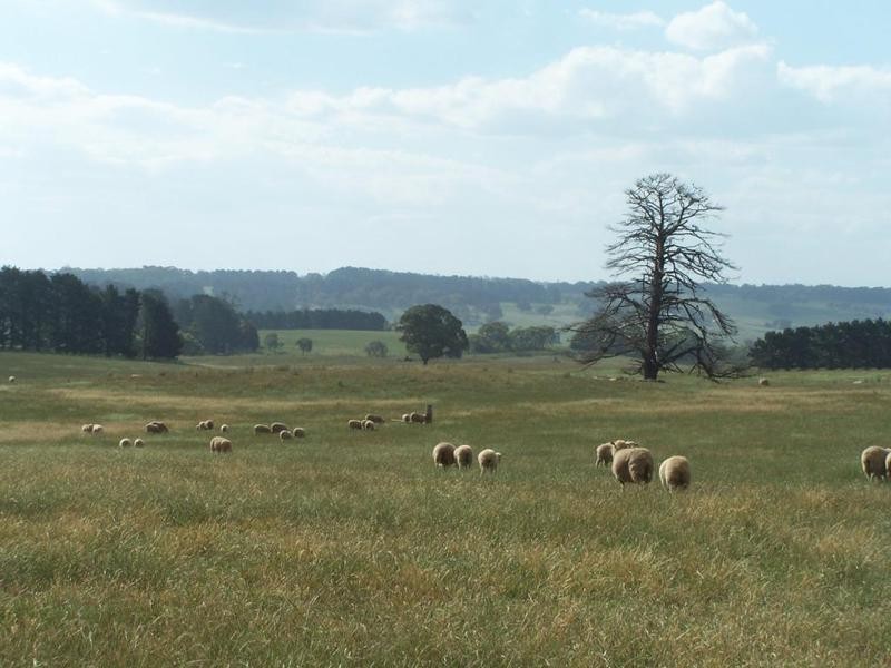 Lot 1 Woodhouselee Road, Laggan NSW 2583