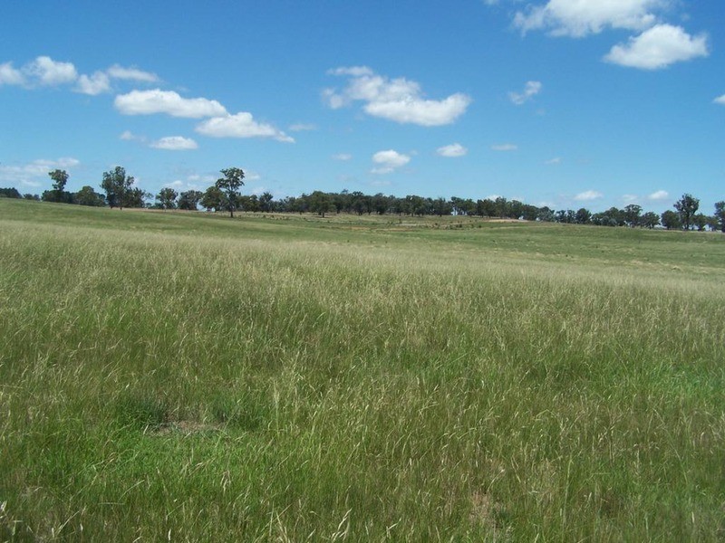 Lot 15 Coolabah Park, Bungonia NSW 2580