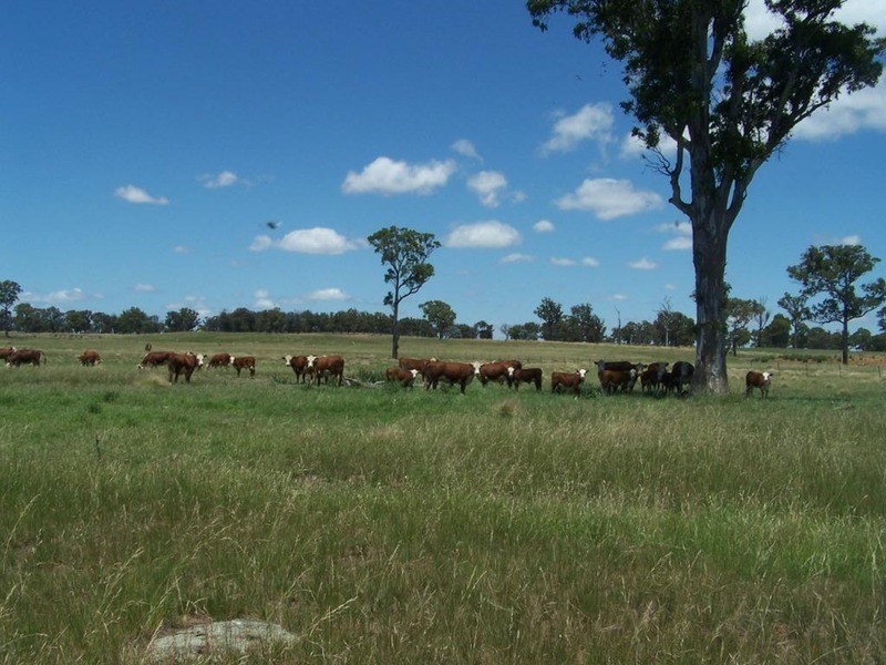 Lot 15 Coolabah Park, Bungonia NSW 2580