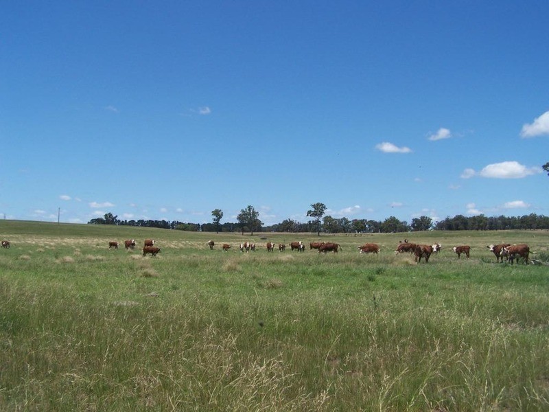 Lot 15 Coolabah Park, Bungonia NSW 2580