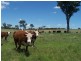 Lot 15 Coolabah Park, Bungonia NSW 2580