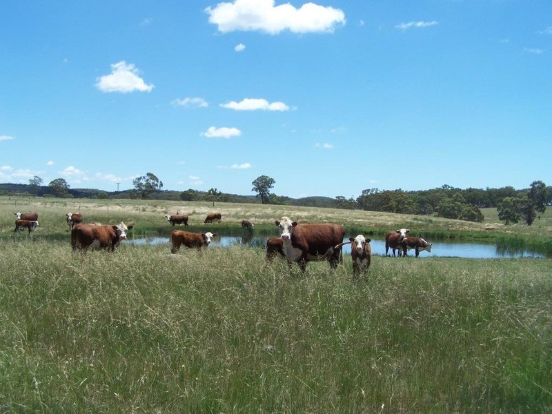 Lot 15 Coolabah Park, Bungonia NSW 2580