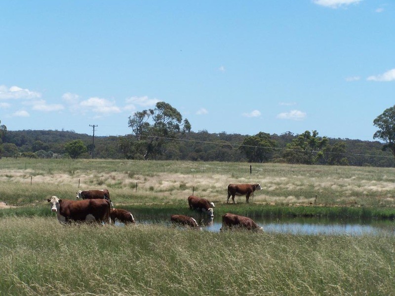 Lot 15 Coolabah Park, Bungonia NSW 2580