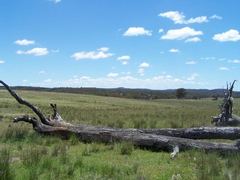 Lot  14 Coolabah Park, Bungonia NSW 2580