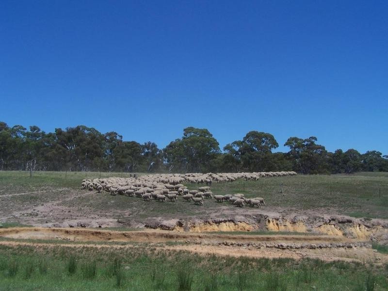 Lot 12 Coolabah Park, Bungonia NSW 2580