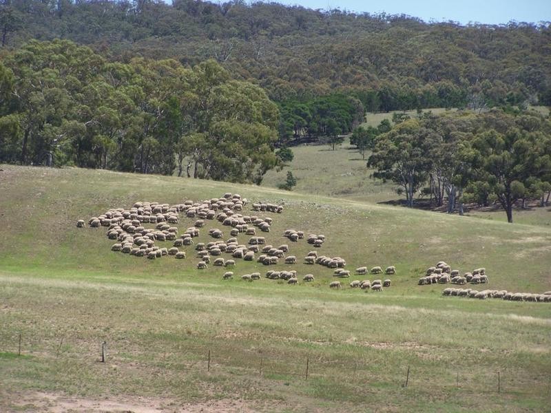 Lot 12 Coolabah Park, Bungonia NSW 2580