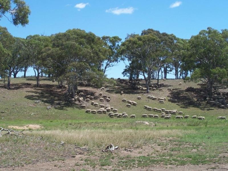 Lot 12 Coolabah Park, Bungonia NSW 2580