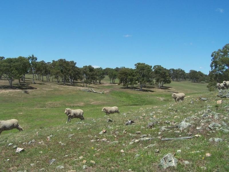 Lot 12 Coolabah Park, Bungonia NSW 2580