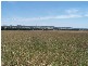 Lot 153 Gorham Road, Crookwell NSW 2583