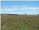 Lot 153 Gorham Road, Crookwell NSW 2583