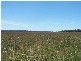 Lot 153 Gorham Road, Crookwell NSW 2583