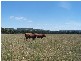 Lot 153 Gorham Road, Crookwell NSW 2583